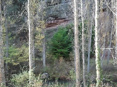 Haya Barranco de la hoz en Corduente