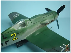 fw-190 - 07 (5)