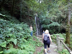 DSCN0913 DSCN0913