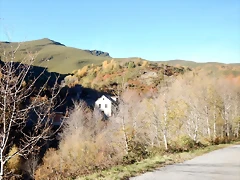DSCN9942