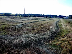 DSCN6635 DSCN6635