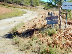 DSCN3741 DSCN3741