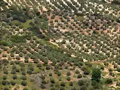 cortijo del pelicano