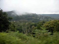DSCN4813