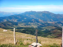 DSCN8443 DSCN8443