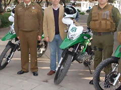 MOTO-31