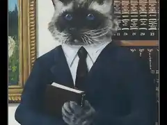 gatoabogado