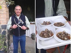 CARACOLES5 CARACOLES5