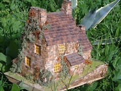 DSC00333 (Medium)