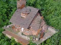 DSC00331 (Medium)