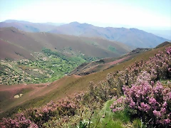 DSCF2575 DSCF2575