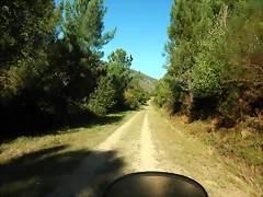 DSCN1446 DSCN1446