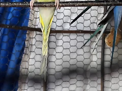 20180126_132605(0)