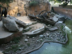 Zoo de Barcelona 17-07-2010 194