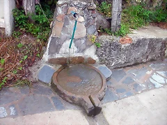 DSCN3976 DSCN3976