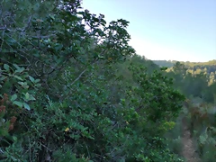 IMG_20210106_163254 IMG_20210106_163254