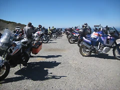 IMG_1195 IMG_1195