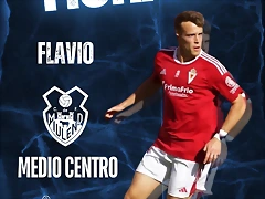flavioMul25-1 flavioMul25-1