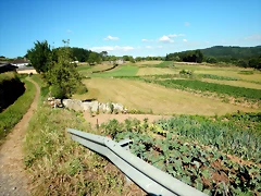 DSCN6744 DSCN6744