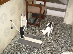 A por el regalo de Papá Noél A por el regalo de Papá Noél