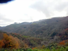 DSCN1990 DSCN1990
