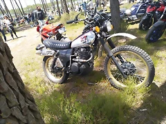 IMG_20220701_131936_632 IMG_20220701_131936_632