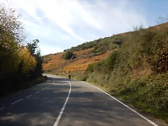 DSCN4686 DSCN4686