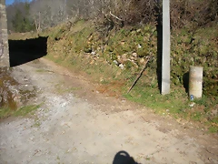 DSCN2934