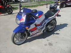 SDC10446 SDC10446