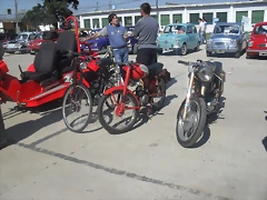SDC10443 SDC10443