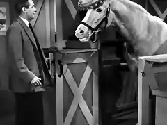 Mister Ed 3