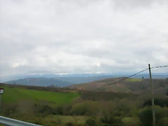 DSCN8434