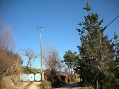 DSCN2944 DSCN2944