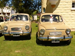 P1050697 P1050697