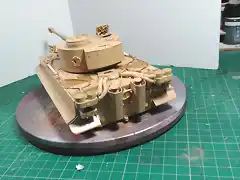 Tiger46