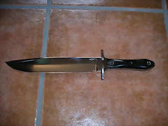 bowie 1 bowie 1
