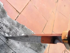 DSCF1372 DSCF1372