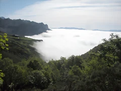 DSCN8074 DSCN8074