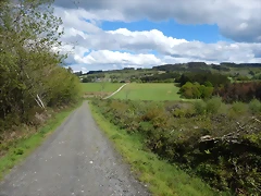 DSCN9298