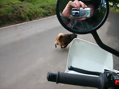 DSCN5334 DSCN5334