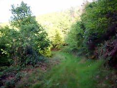 DSCN2088 DSCN2088