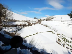 DSCN1828 DSCN1828