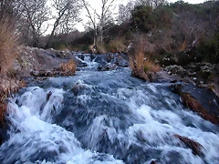DSCN6702 DSCN6702