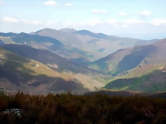 DSCN9554 DSCN9554