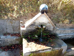 DSCN7821 DSCN7821