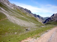 DSCN8174 DSCN8174