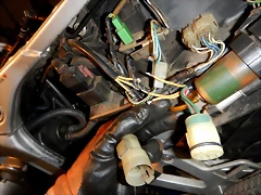 DSCN1359 DSCN1359