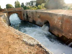 DSCN9466 DSCN9466