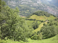 DSCN3884 DSCN3884