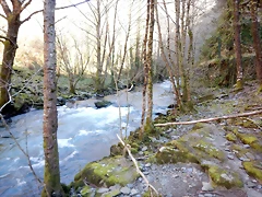 DSCN3814 DSCN3814